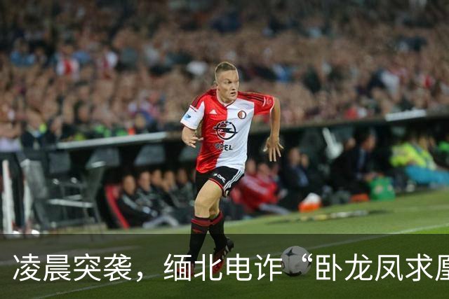 凌晨突袭，缅北电诈“卧龙凤求凰”一夜崩溃