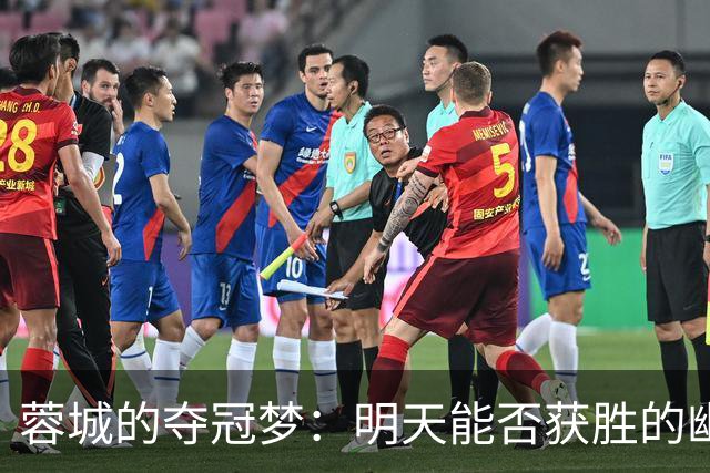 蓉城的夺冠梦：明天能否获胜的幽默算命